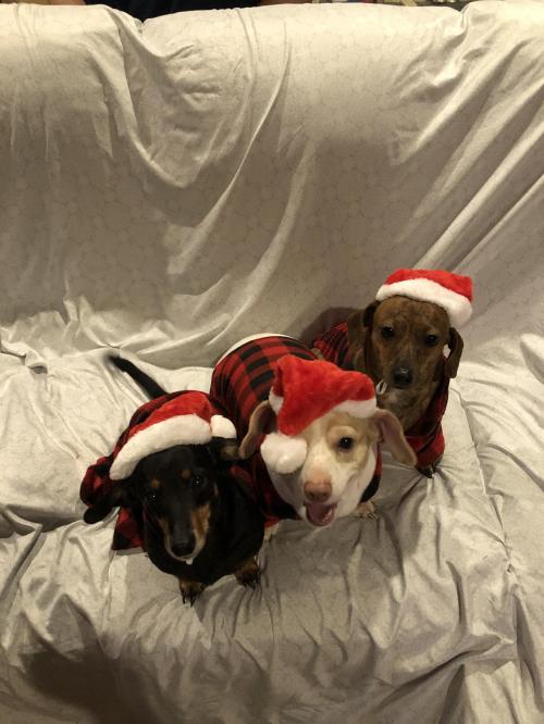 C3D99D64-0A97-4473-A230-44674B711D8C