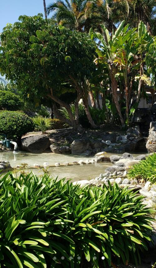 16:51:24 GMT-0800 (PST)