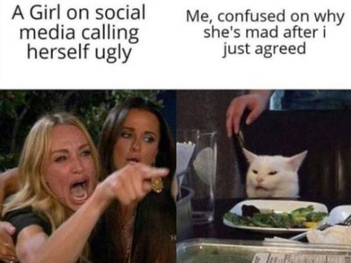 tumblr_e4c4b801dbe579dd69f596805de1b8f6_585152a7_540