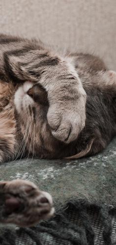 18:59:24 GMT-0600 (CST)