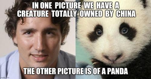 02:47:01 GMT-0500 (EST).image