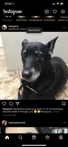 10:06:12 GMT-0600 (CST).image