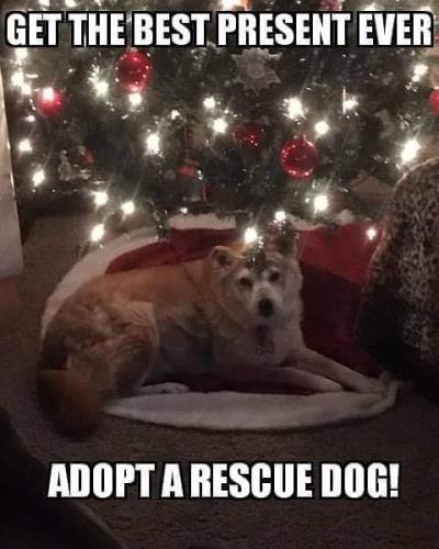 09:23:52 GMT-0500 (EST)