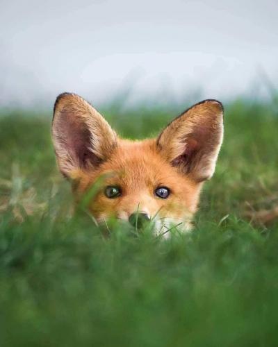 04:10:19 GMT-0600 (CST)