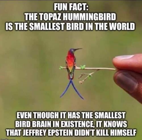 EC146A69-3182-498E-9AA3-7E6BC480017F-22770-0000117A1EA644E1