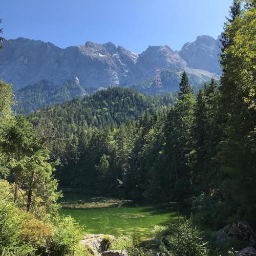 20:37:37 GMT-0500 (EST).image