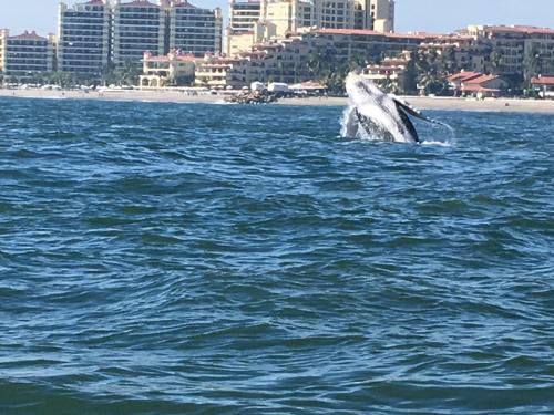 20:40:00 GMT-0800 (PST).image