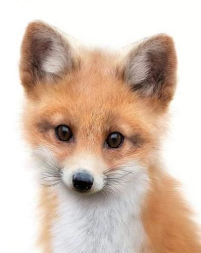 21:54:35 GMT-0600 (CST)