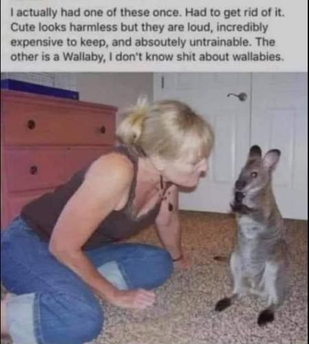 15:33:41 GMT-0500 (EST)