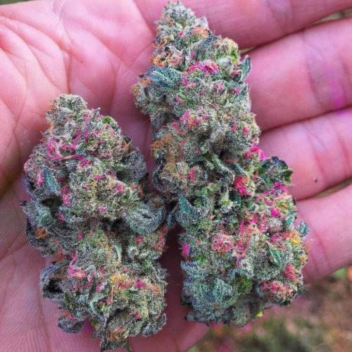 22:37:56 GMT-0800 (PST)