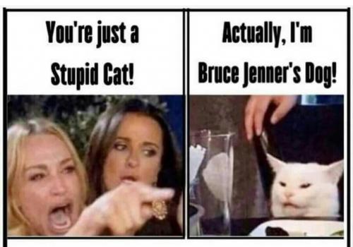 Screenshot_2020-12-02-07-16-42-1