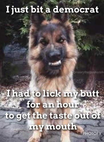 LICK BUTT