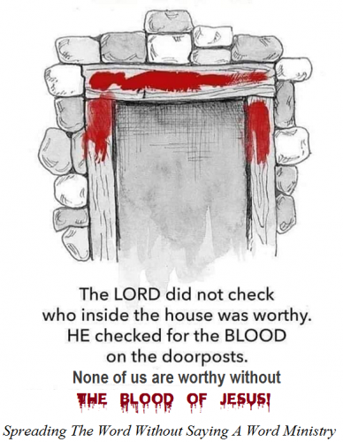 134147441_1255134764869073_2283215425641014909_n