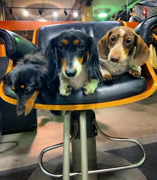 02:36:16 GMT+0000 (GMT).image