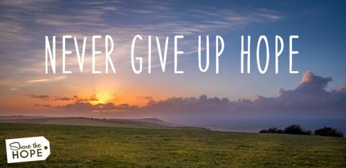 Happy Sunday Morning!  never give up 2