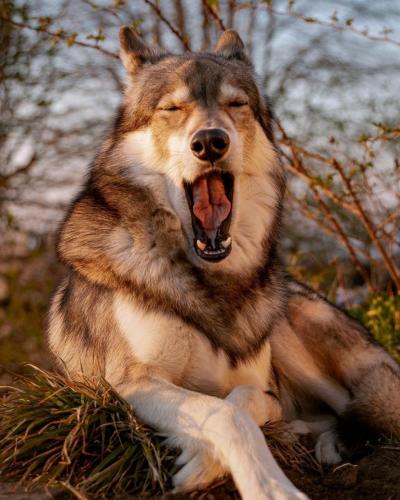 132496889_222502139443820_5285239810160487211_o