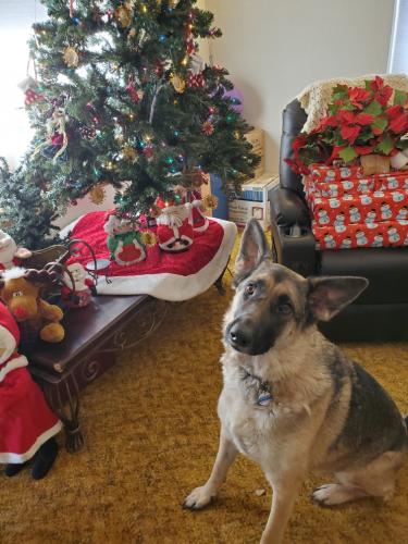 16:30:00 GMT-0700 (MST)