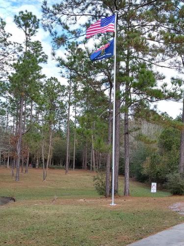 14:56:15 GMT-0600 (CST)