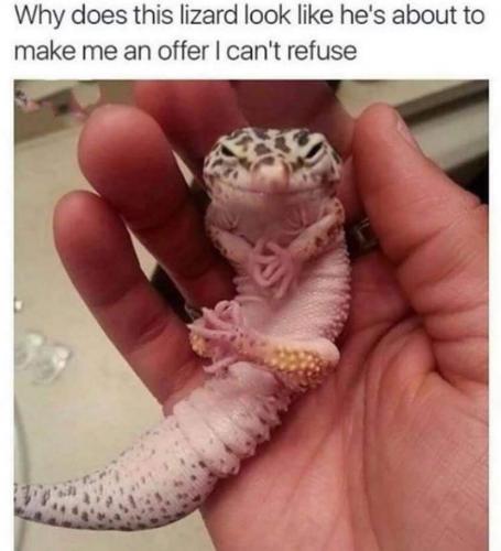 12:03:47 GMT-0500 (EST)