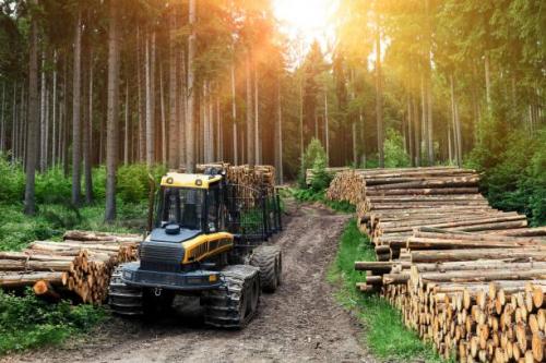 17:46:28 GMT+0100 (WAT)