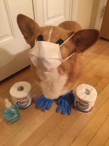 17:50:16 GMT+0100 (WAT).image