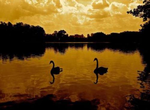 15:14:23 GMT+0100 (WAT).image