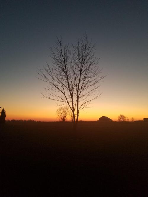 08:06:55 GMT-0500 (EST)