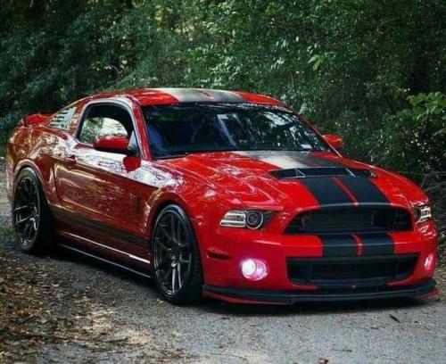 125862638_2852424761526819_1959512859694078149_n