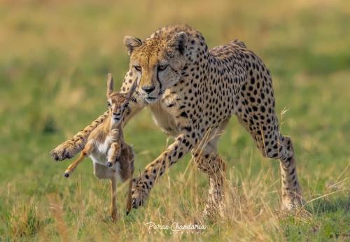 131889651_216069206741540_2016181506270602121_n