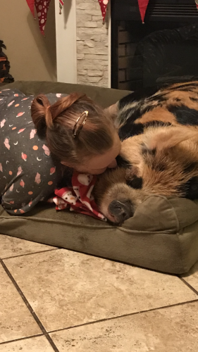 21:08:22 GMT-0600 (CST).image