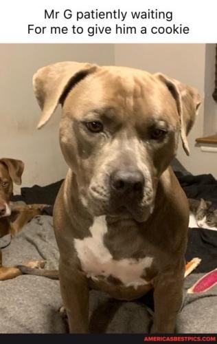 22:16:08 GMT-0600 (CST).image