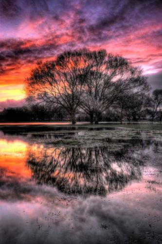 128642315_248361996620701_4074168515711407798_n