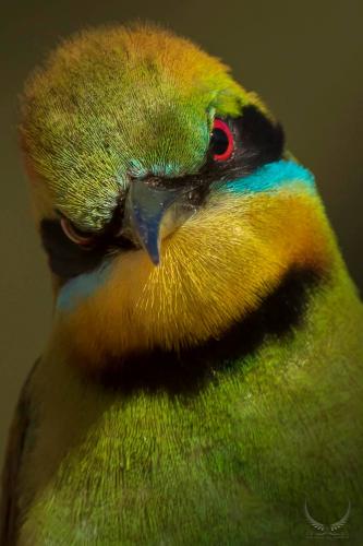 129117955_3529278880498060_6427060076947710373_o