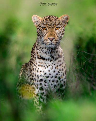 132142993_219322319749562_4603649867181286571_n