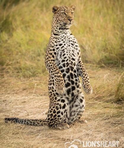 131390609_674154903262070_51865715873821291_o