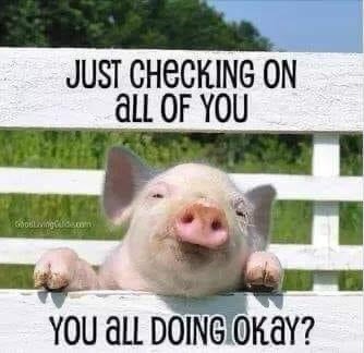 08:00:02 GMT-0700 (MST).image