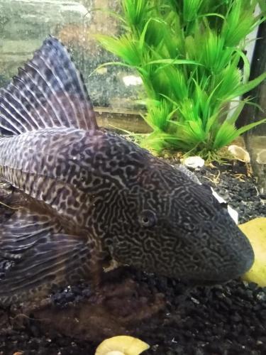 05:21:57 GMT-0600 (CST)