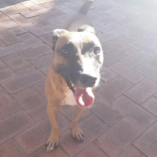 00:20:57 GMT+0800 (AWST)