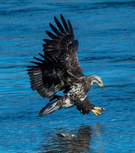 132635208_1306572343031732_3967993853703707547_o