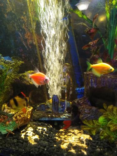 05:18:34 GMT-0600 (CST)