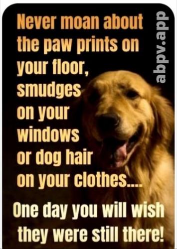 06:14:12 GMT-0600 (CST).image