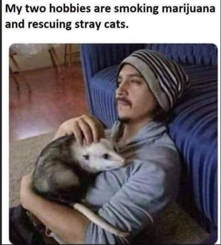 18:29:29 GMT-0600 (CST)