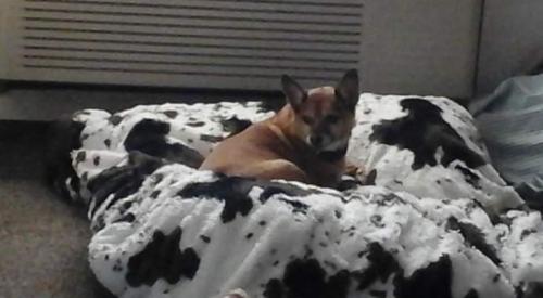 12:33:49 GMT-0600 (CST)