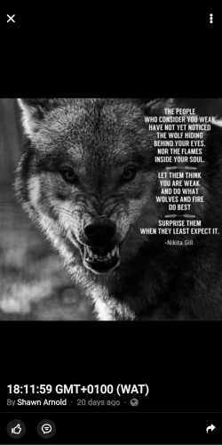 15:10:17 GMT-0600 (CST)