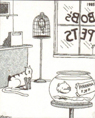 09:54:43 GMT-0700 (MST)