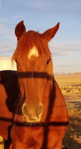 20:09:26 GMT-0800 (PST).image