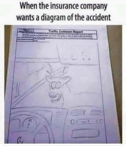 131946523_3780356092016055_8016535834467709325_o