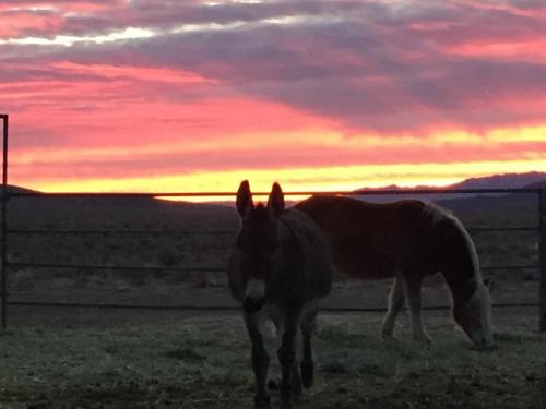 20:11:43 GMT-0800 (PST).image