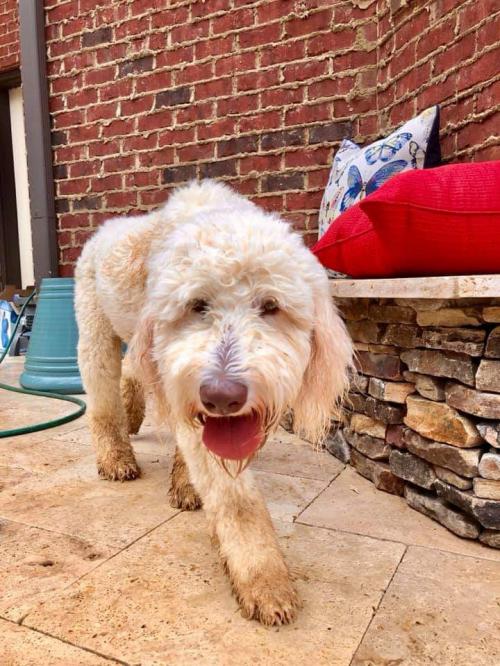 22:08:02 GMT+0100 (WAT)