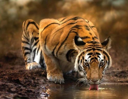 130277440_1119163288523518_1671586420433006391_o